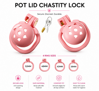 Dragon Chastity Lock & 3 Locking Rings & Key