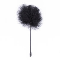 Honey bb SM Sex Toy Wholesale Tease Multi-colour Flirting Feather Pole Adult Supplies