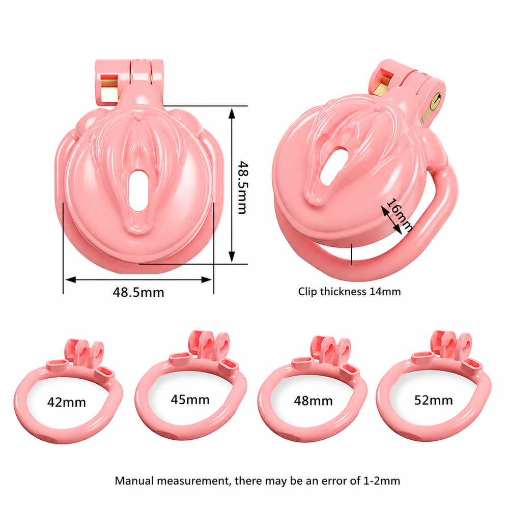 Dragon Chastity Lock & 3 Locking Rings & Key