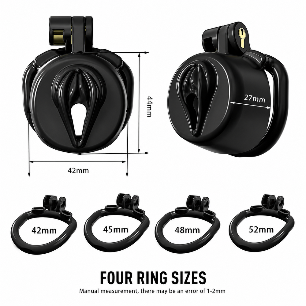 Dragon Chastity Lock & 3 Locking Rings & Key