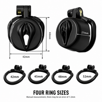 Dragon Chastity Lock & 3 Locking Rings & Key