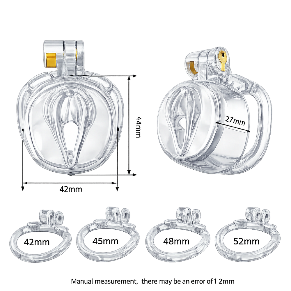 Dragon Chastity Lock & 3 Locking Rings & Key