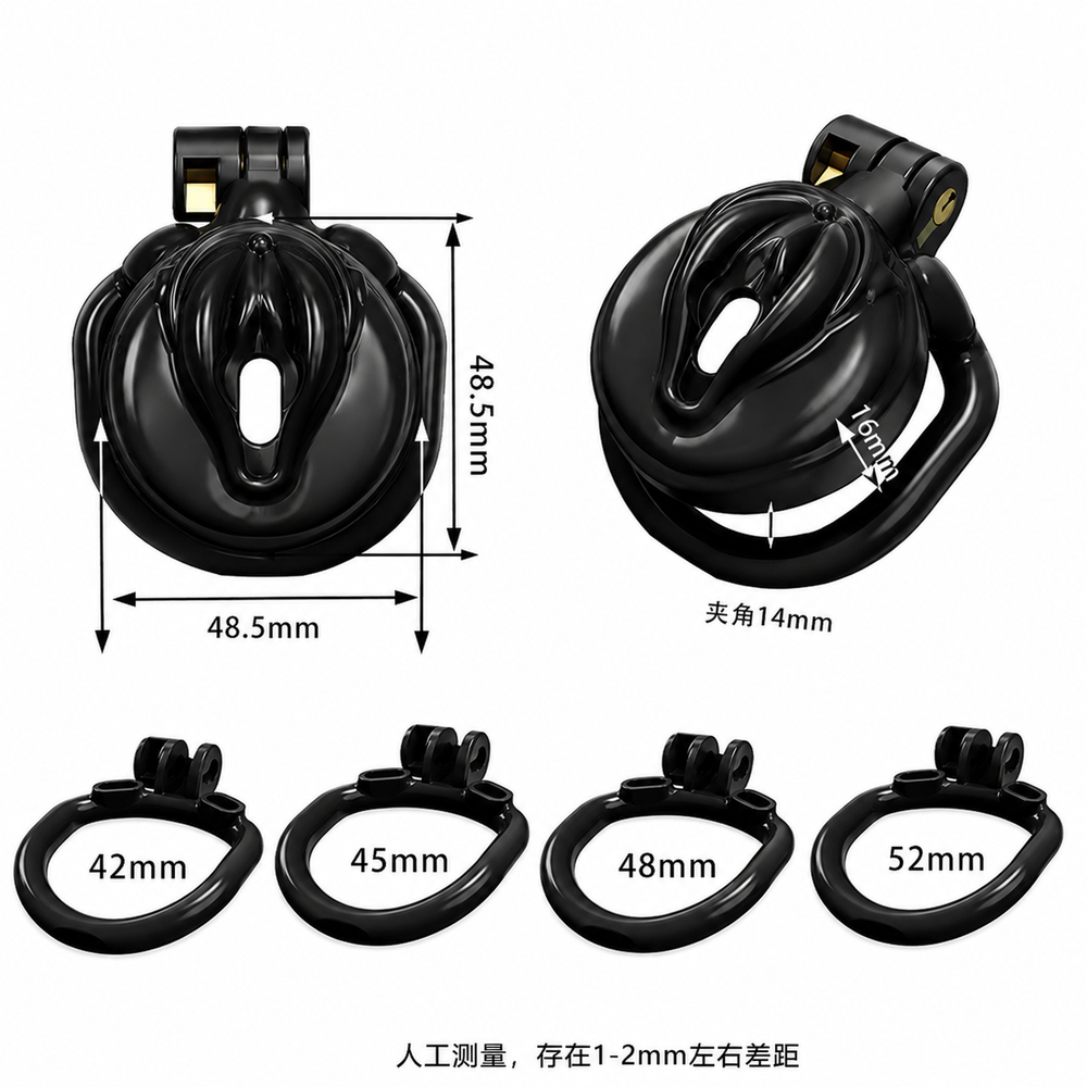 Dragon Chastity Lock & 3 Locking Rings & Key