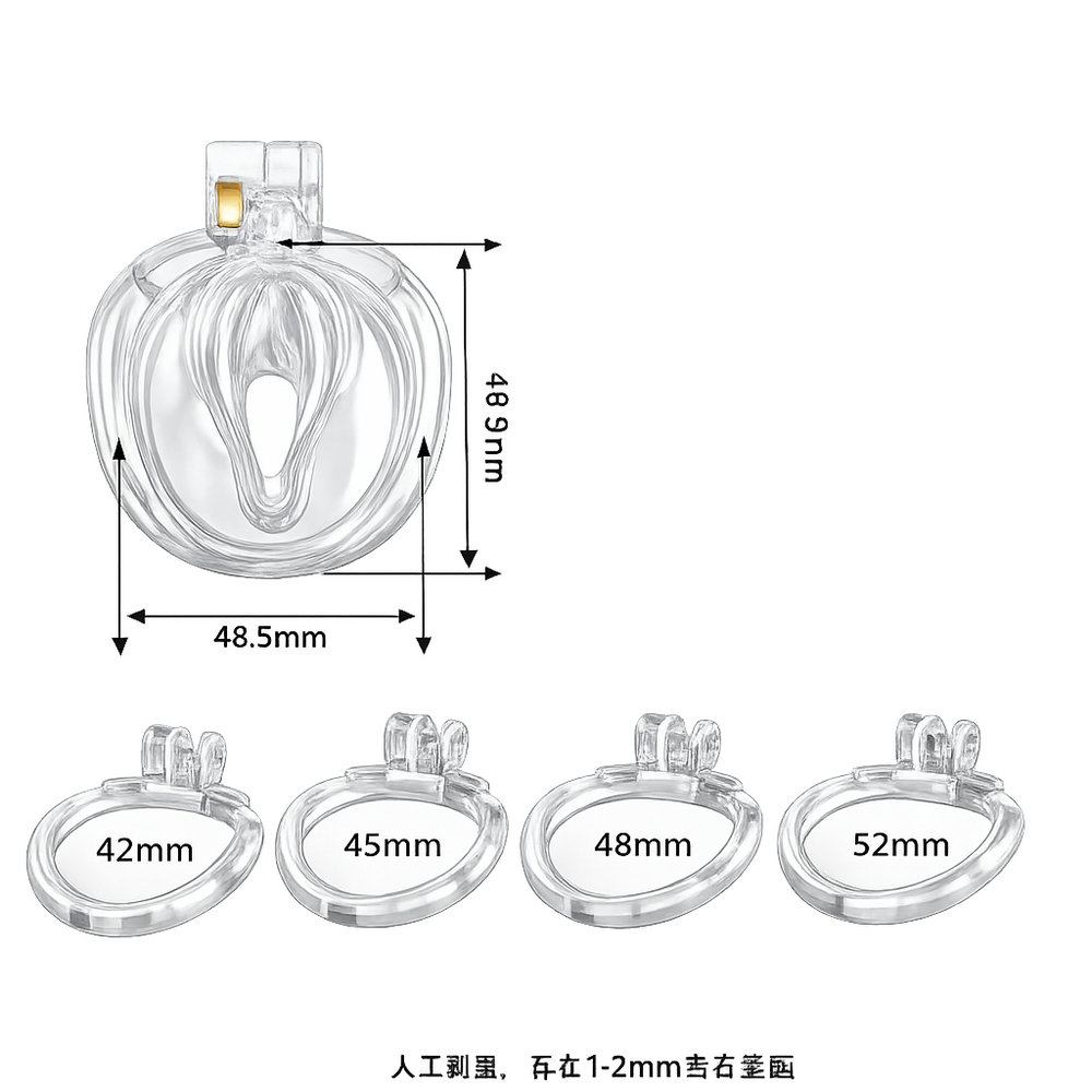 Dragon Chastity Lock & 3 Locking Rings & Key