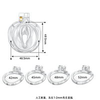 Dragon Chastity Lock & 3 Locking Rings & Key