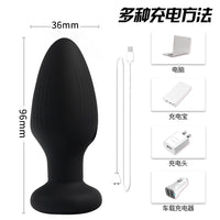 Honey bb Silicone Anal Plug Set with Rhinestone Base, Vibrating & Swinging Remote Control Butt Plug
