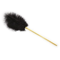 Honey bb SM Feather Tickler Gold Tease Tickler Crop for Adult Sex Play