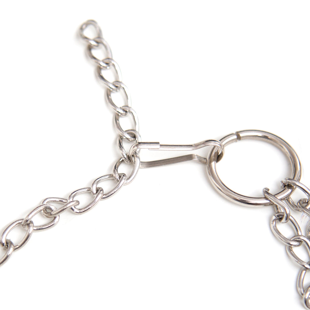 Honey bb Adult Men's Phallus Ring Training Strong Butterfly Chain Nipple Clips