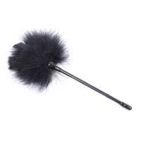Honey bb SM Sex Toy Wholesale Tease Multi-colour Flirting Feather Pole Adult Supplies