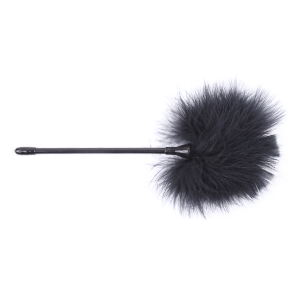 Honey bb SM Sex Toy Wholesale Tease Multi-colour Flirting Feather Pole Adult Supplies