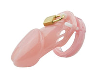 Dragon Chastity Lock & 3 Locking Rings & Key