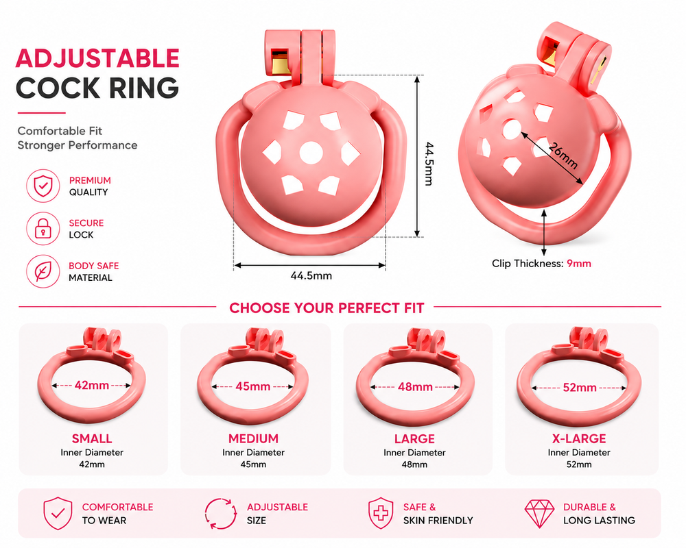 Dragon Chastity Lock & 3 Locking Rings & Key