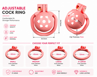Dragon Chastity Lock & 3 Locking Rings & Key