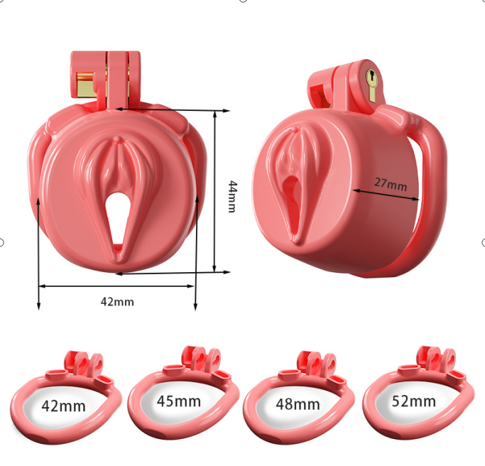 Dragon Chastity Lock & 3 Locking Rings & Key