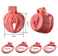 Dragon Chastity Lock & 3 Locking Rings & Key