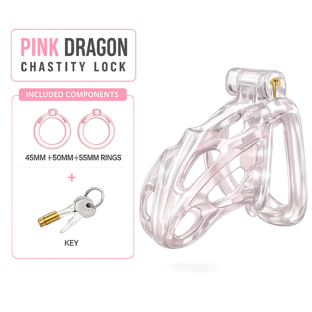 Dragon Chastity Lock & 3 Locking Rings & Key