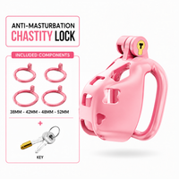 Dragon Chastity Lock & 3 Locking Rings & Key