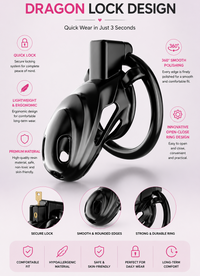 Dragon Chastity Lock & 3 Locking Rings & Key