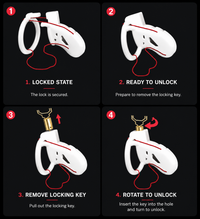 Dragon Chastity Lock & 3 Locking Rings & Key
