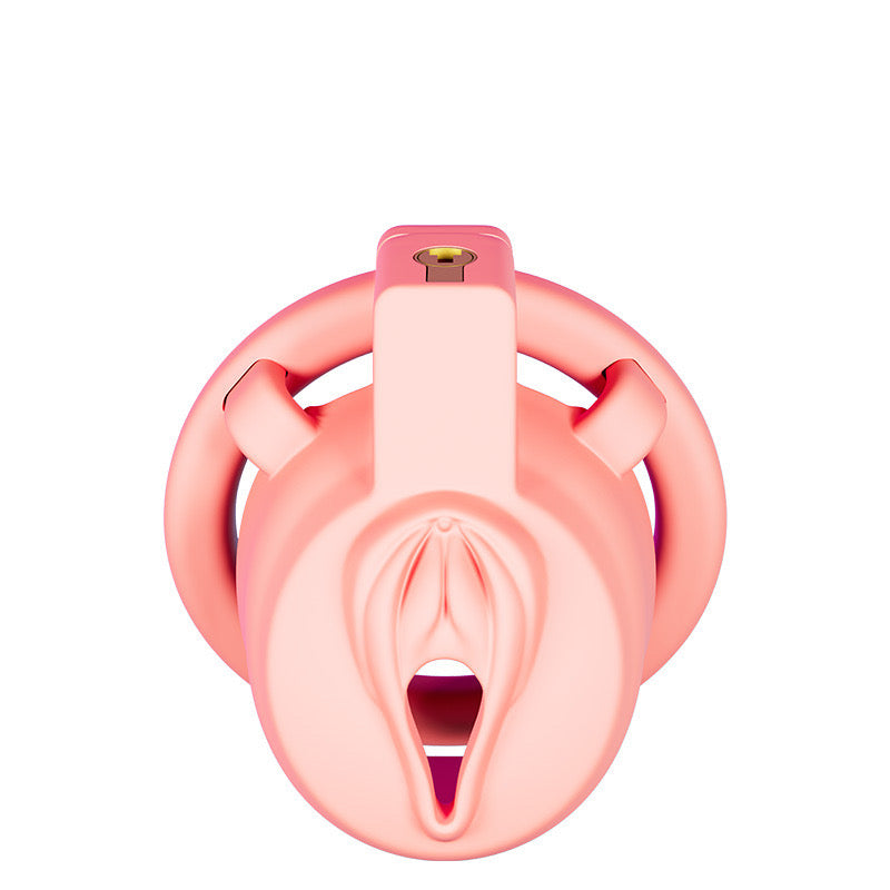 Dragon Chastity Lock & 3 Locking Rings & Key
