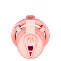 Dragon Chastity Lock & 3 Locking Rings & Key