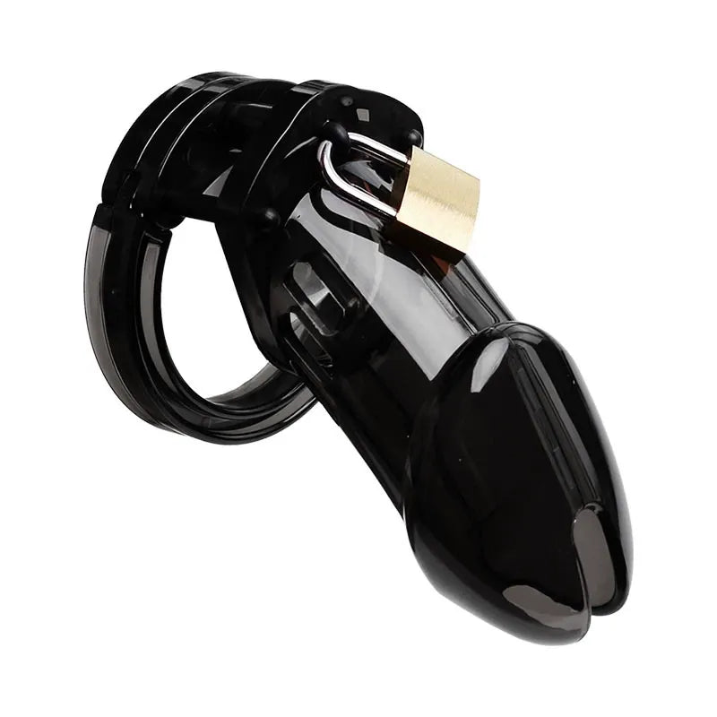 Dragon Chastity Lock & 3 Locking Rings & Key